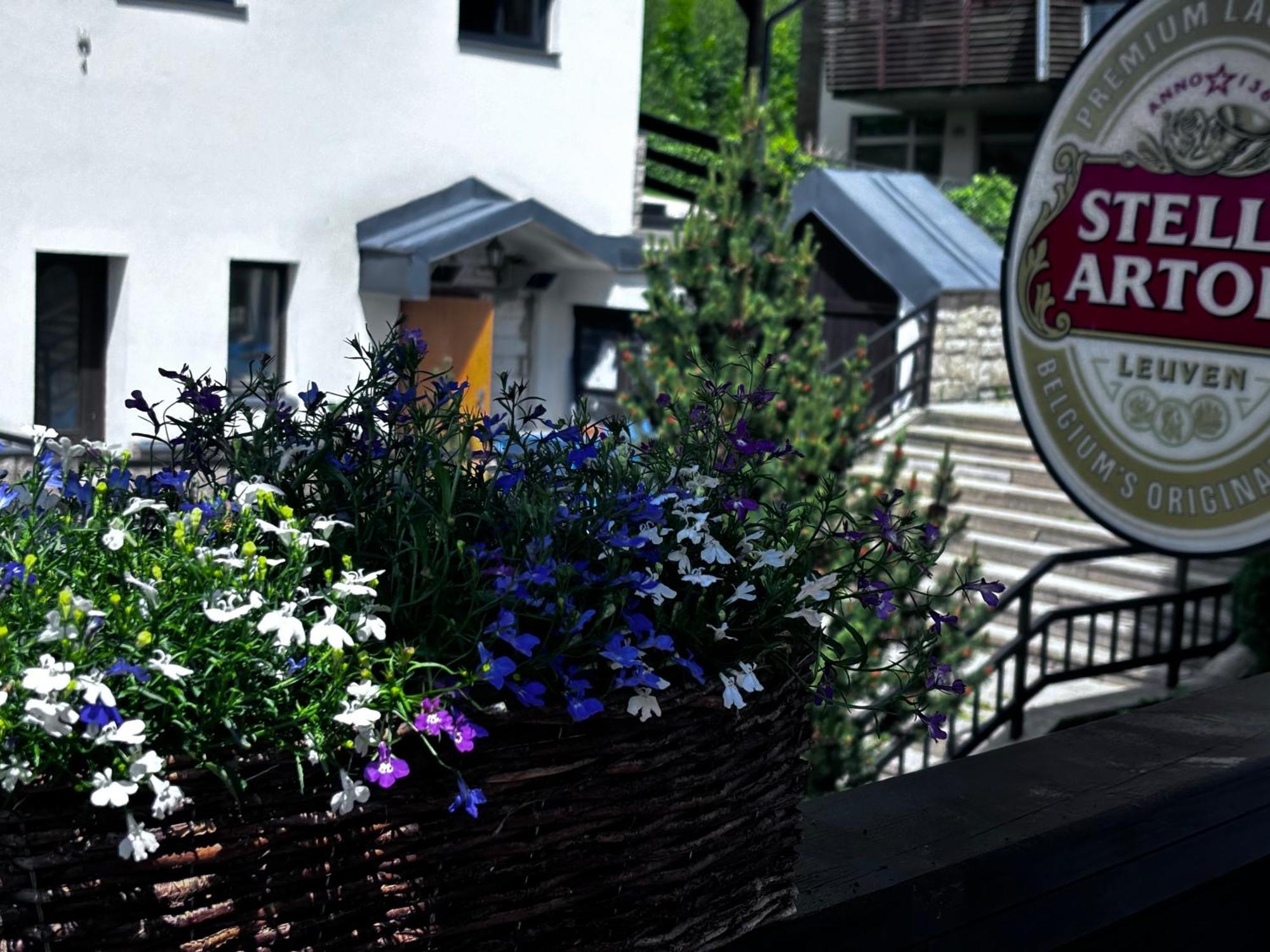 Penzion Verde Rosa Harrachov Exterior photo