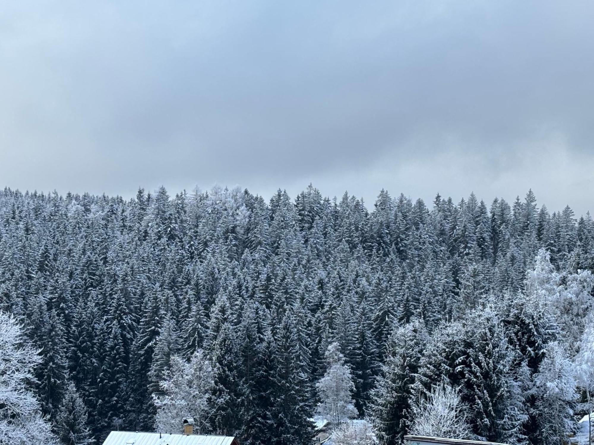 Penzion Verde Rosa Harrachov Exterior photo
